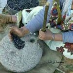 Huile d'Olive Vierge Extra Traditionnelle