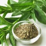 Menthe Séchée de Tunisie – Image 5